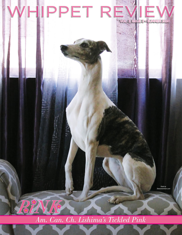 Dog show photography, dog show ad for Whippet Review